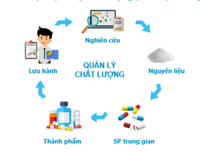 he-thong-chat-luong-01.png