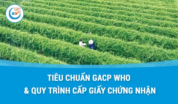 tiêu chuẩn gacp who.jpg