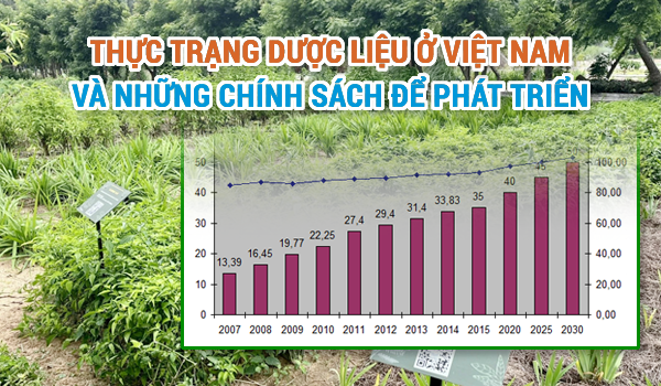 Thực trạng dược liệu ở Việt Nam và chính sách để phát triển.png