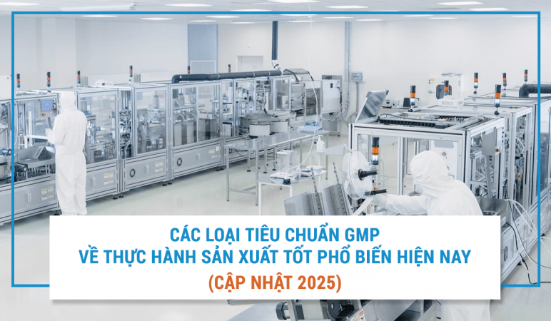 Các loại tiêu chuẩn GMP về thực hành sản xuất tốt phổ biến hiện nay (cập nhật 2025).png