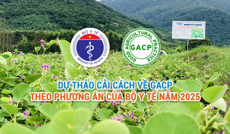 Dự thảo cải cách về GACP theo phương án của Bộ Y Tế năm 2025.jpg