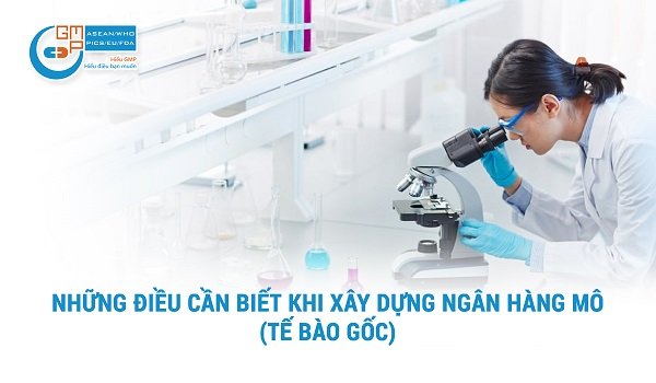 Những Điều Cần Biết Khi Xây Dựng Ngân Hàng Mô.jpg