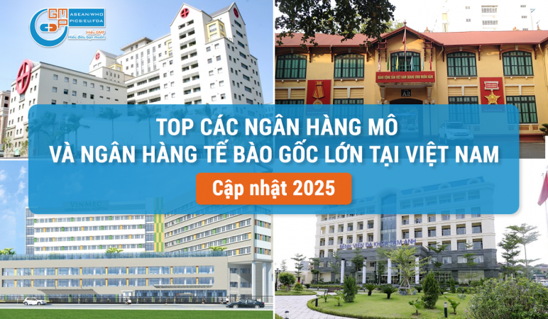 Top các ngân hàng mô và ngân hàng tế bào gốc lớn tại Việt Nam.png