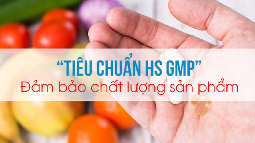 lap-ho-so-gmp-04.png