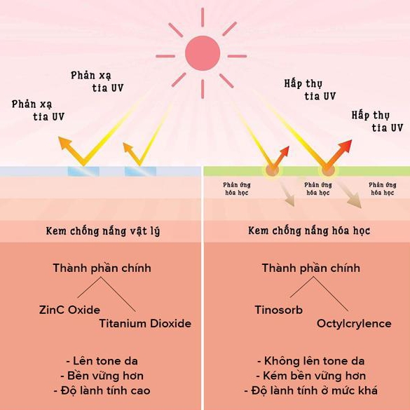 Có Gì Đặc Biệt Về Kem Chống Nắng OSAM Cosmetic?