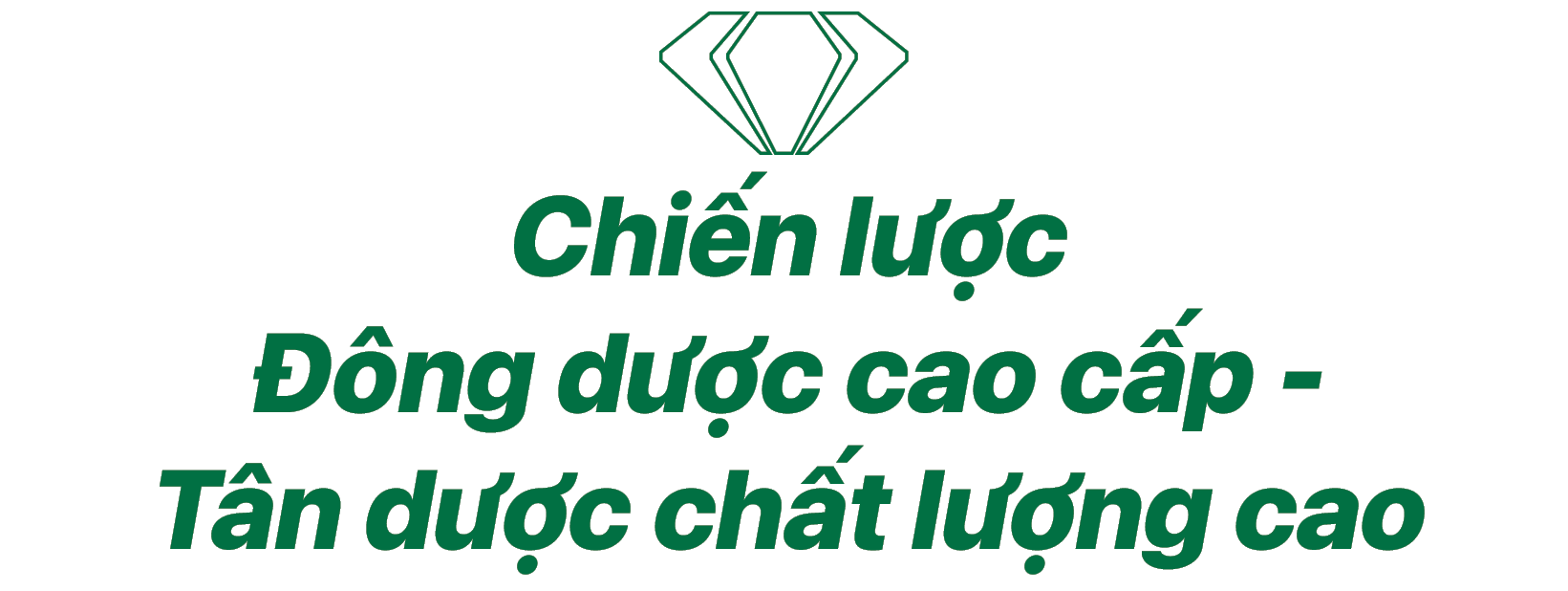 Nhà sản xuất dược phẩm hàng đầu Traphaco: Vượt qua khó khăn, bước sang 2024 với nhiều cơ hội - Ảnh 6.