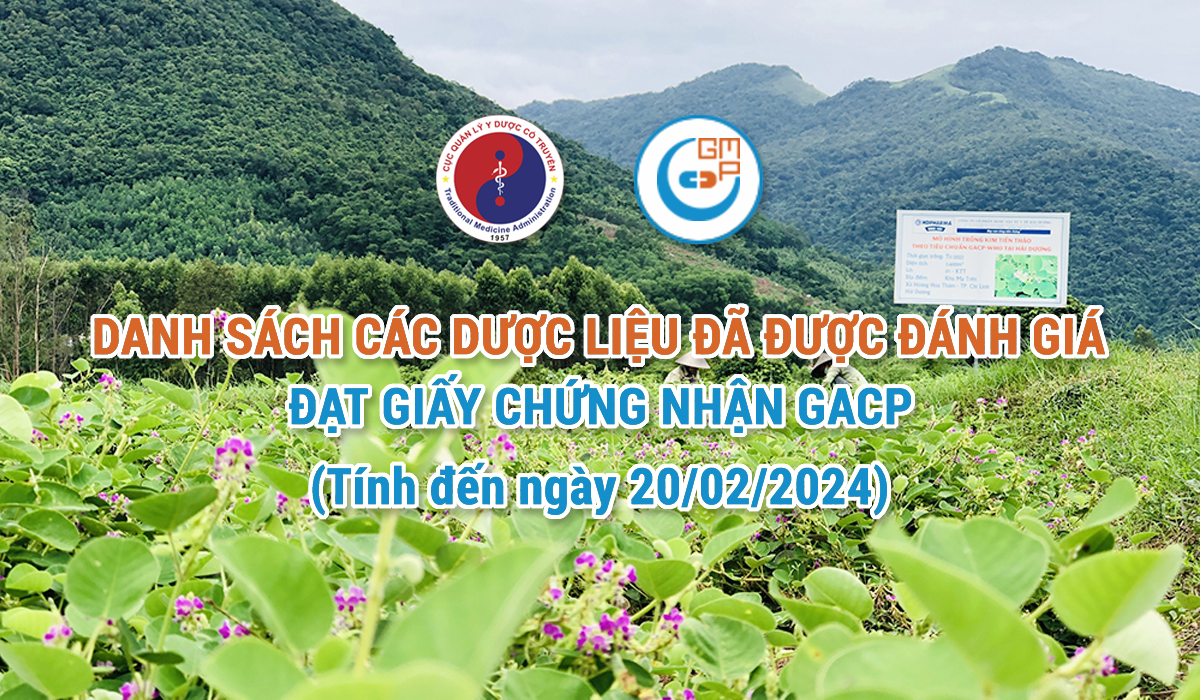 Danh-sach-duc-lieu-da-duc-danh-gia-dat-cp-Giy-chng-nhan-GACP.png