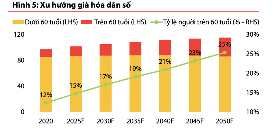 Triển vọng ngành dược: Tăng trưởng kép 8% trong dài hạn nhờ xu hướng già hóa dân số  - Ảnh 2