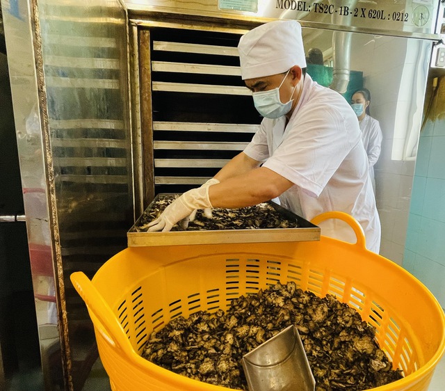 Bệnh viện ở TP.HCM sản xuất 62 sản phẩm thuốc y học cổ truyền - Ảnh 1. Bệnh viện ở TP.HCM sản xuất 62 sản phẩm thuốc y học cổ truyền - Ảnh 1.